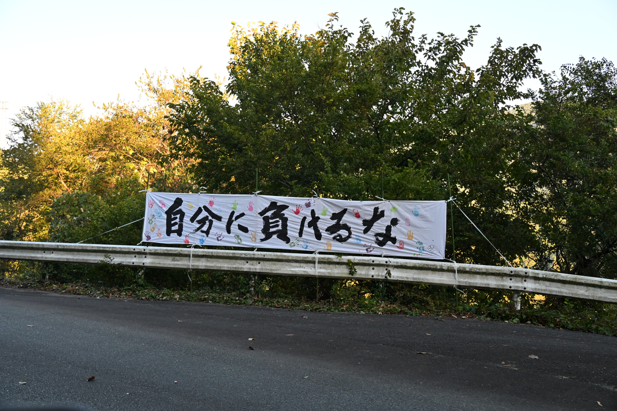 第36回大会（2025年）の様子